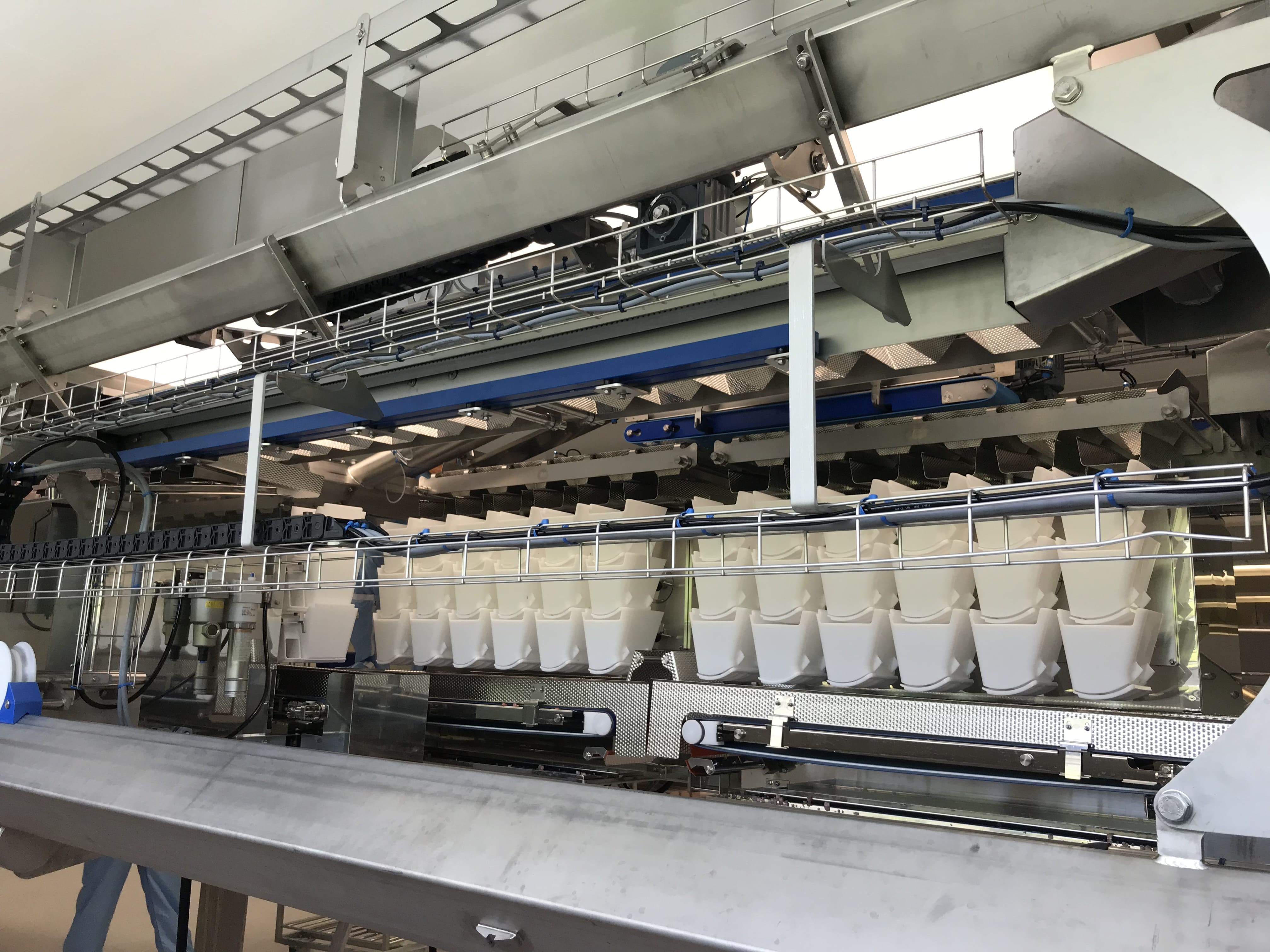 Micarna 2019, The Two 12 Head Linear Weighers Work Like Four Individual Machines I (MR)