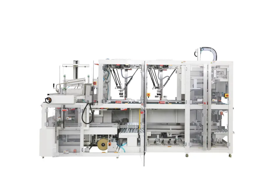Ishida ACP-600 Automatic Case Packer Machine