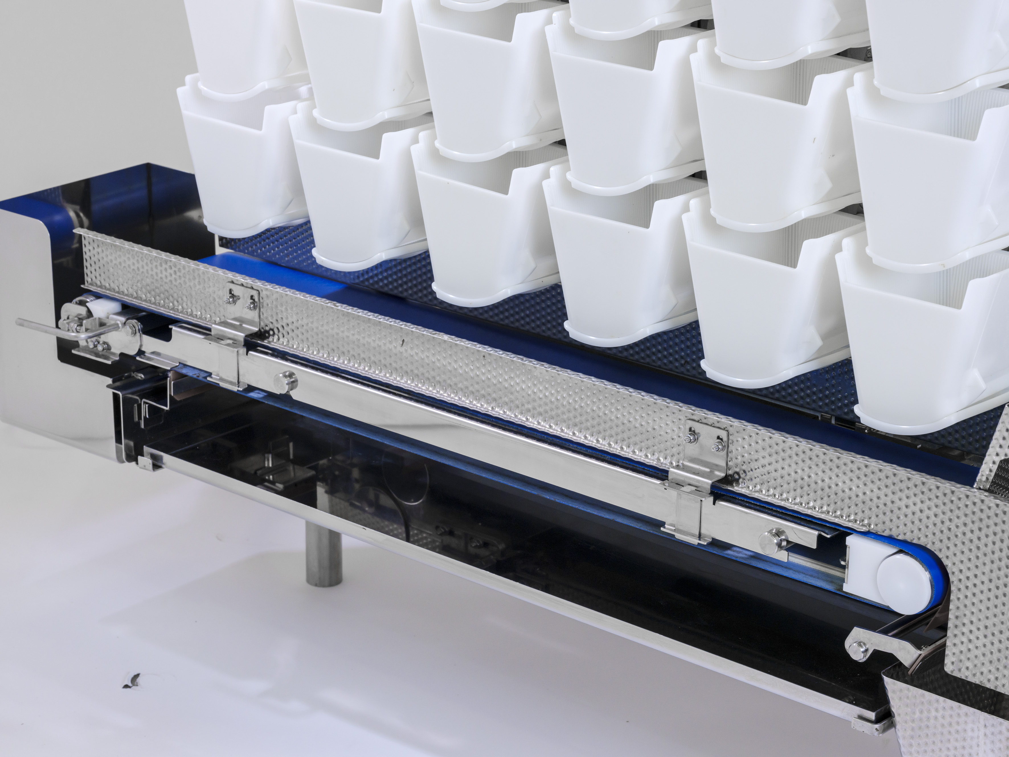 Fresh Food Weigher Collection Belt 2