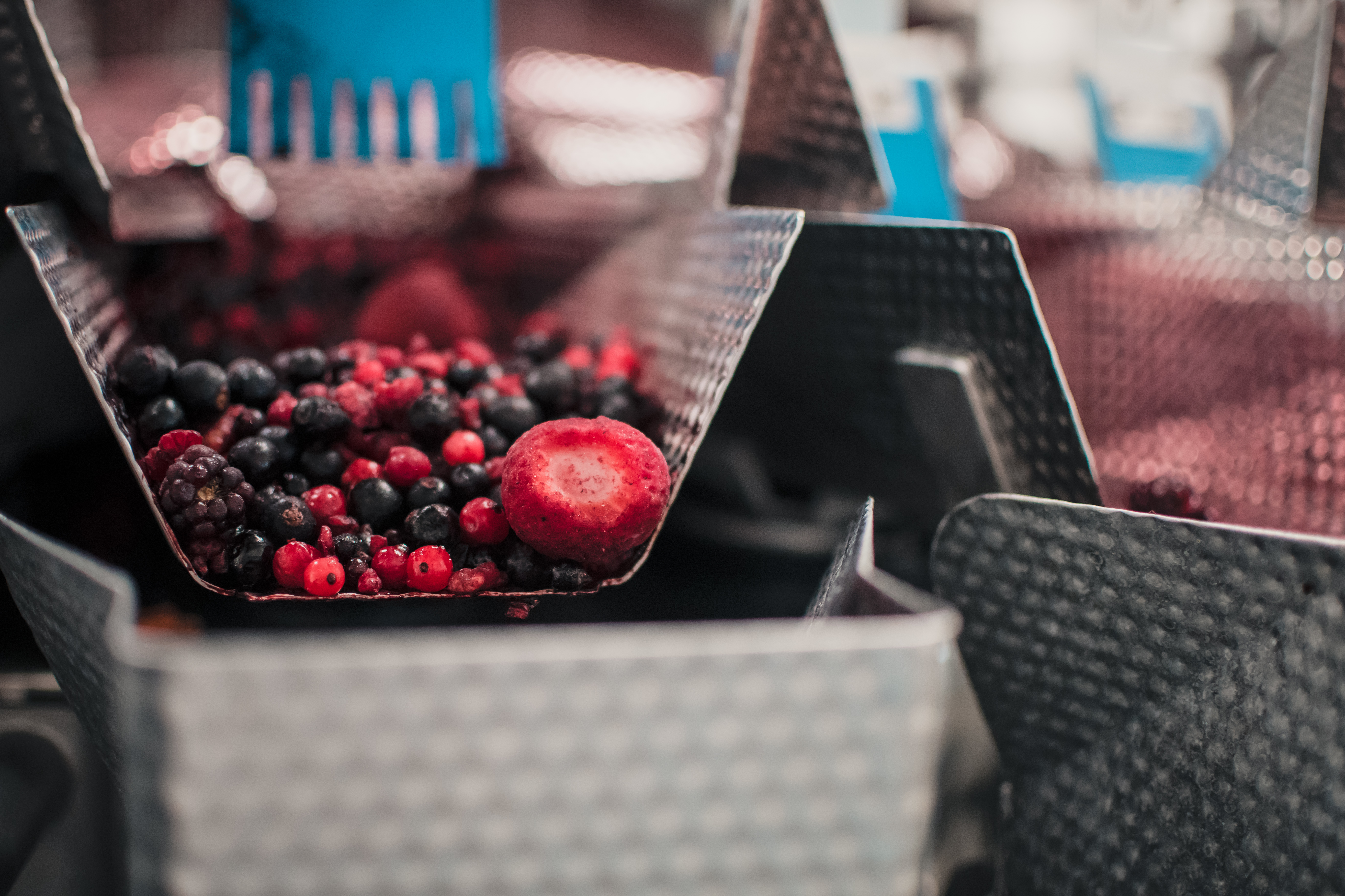 Agram CCW With Frozen Fruits Mix Radial Feeder 3