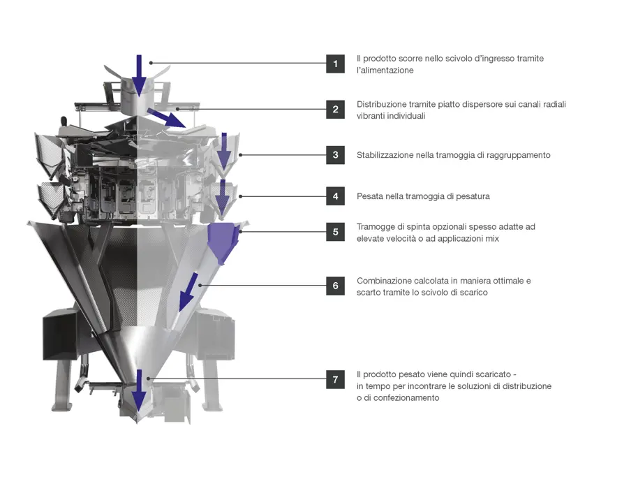 CCW DIAGRAM ITALIAN