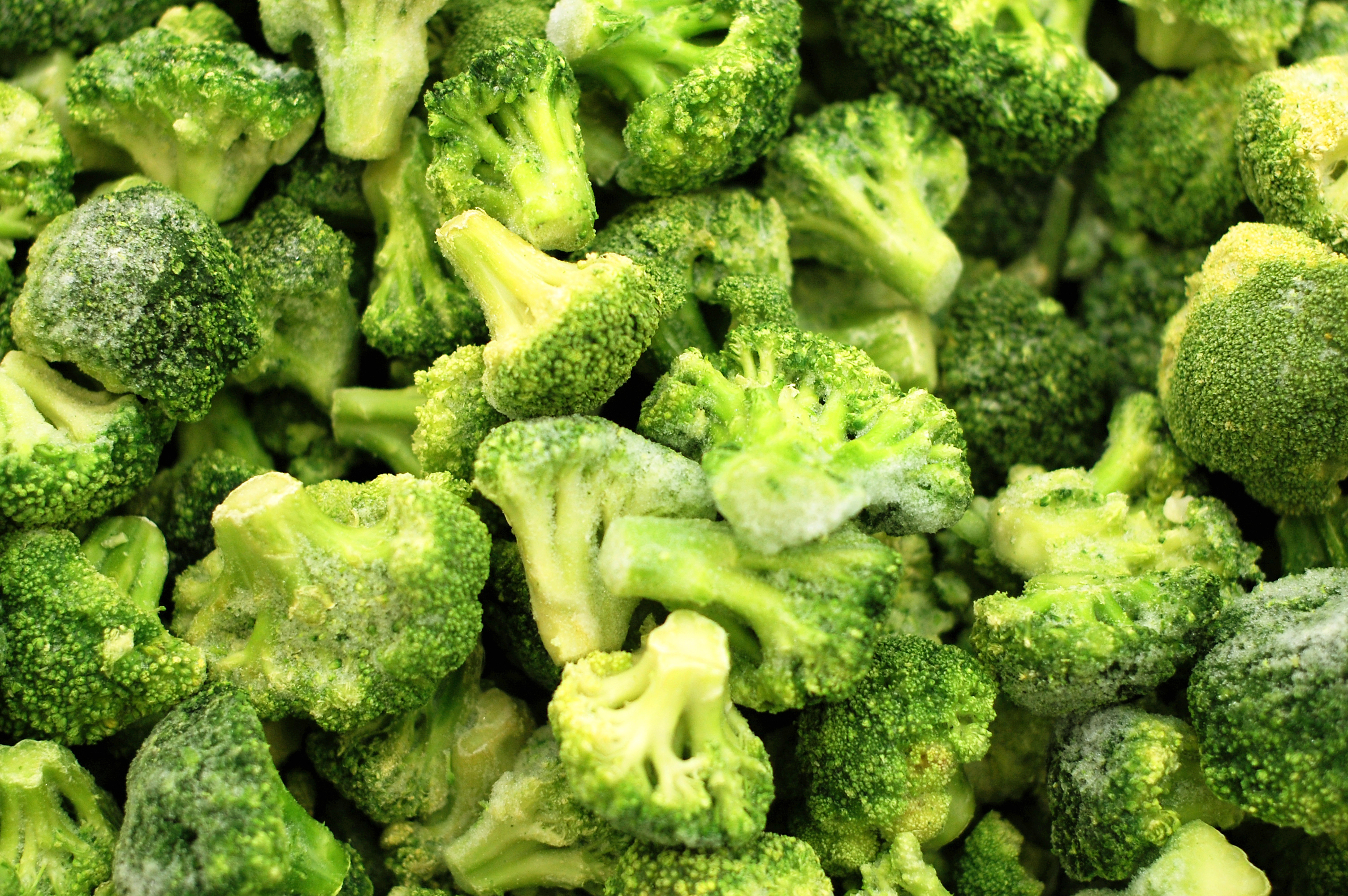Broccoli (main image)