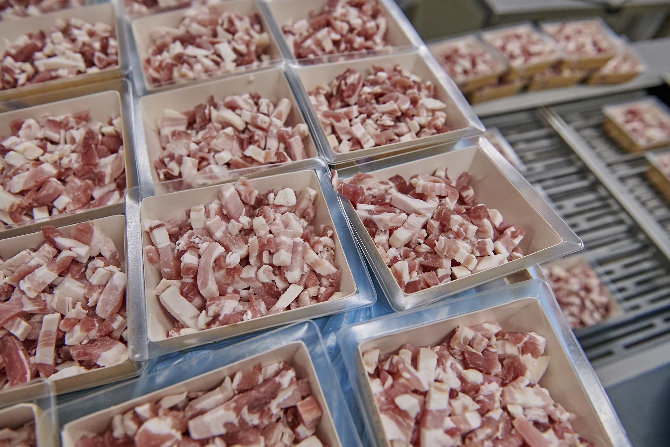 SBV Customer Product