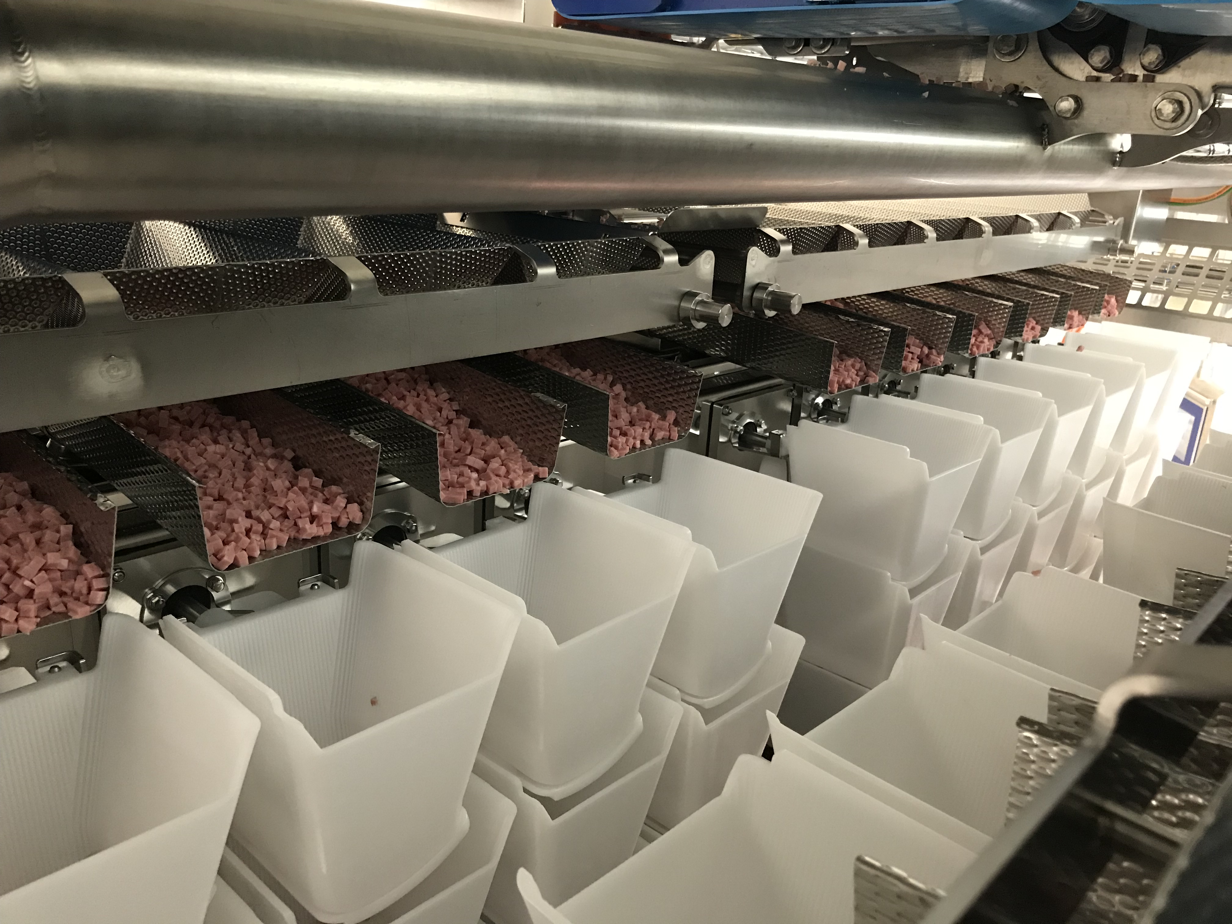 Micarna 2019, The Lardons Reach The Plastic Hoppers Via Vibratory Feeders