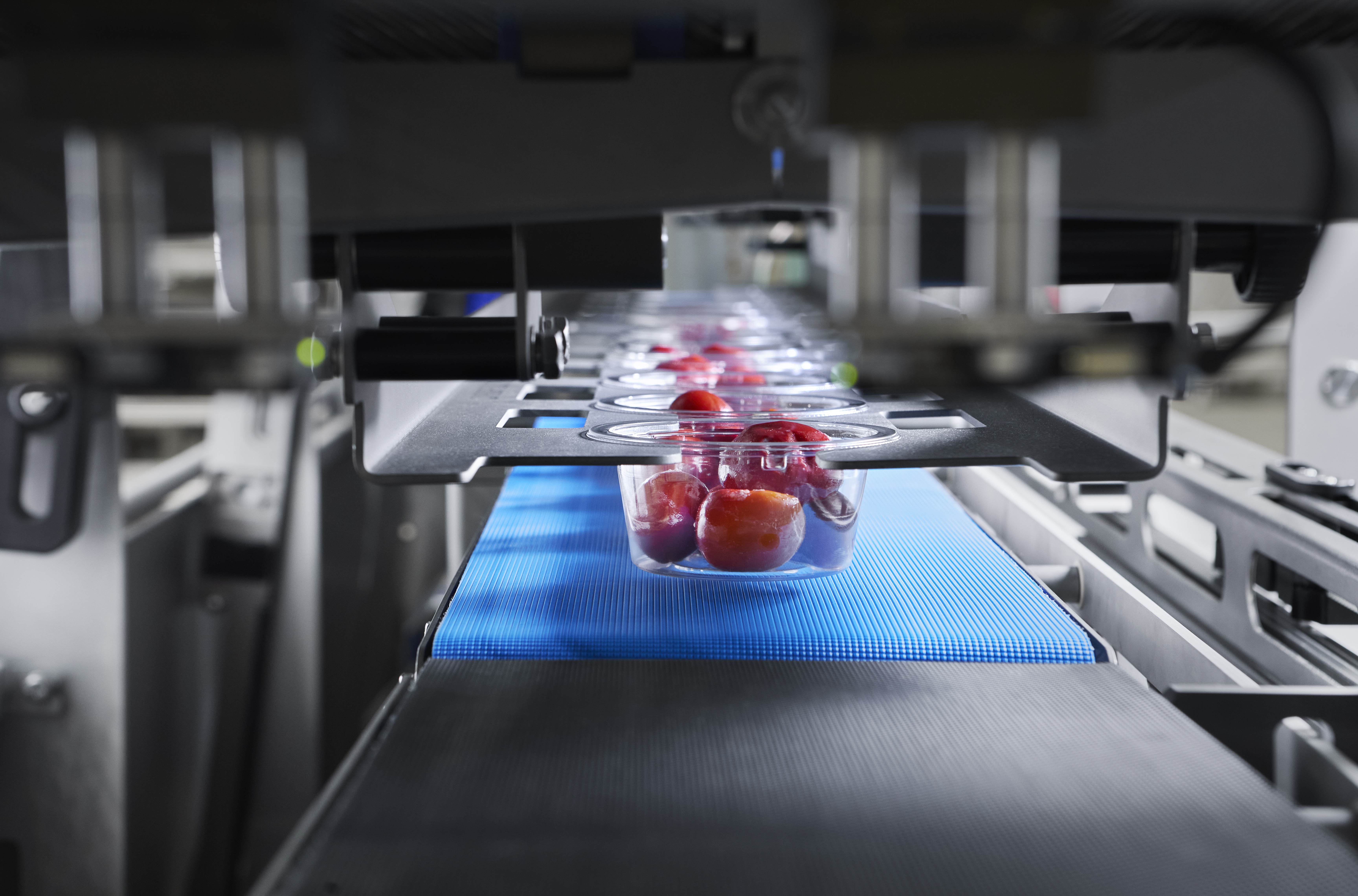 Ishida QX800 Gripper Arms